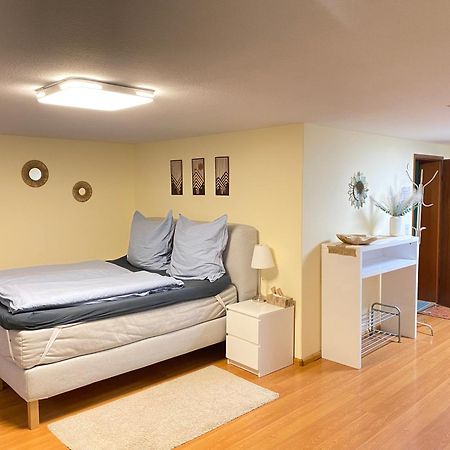 Ruhiges Privates Zimmer In Freiburg, Zentrumsnah, Naehe Europapark Bagian luar foto