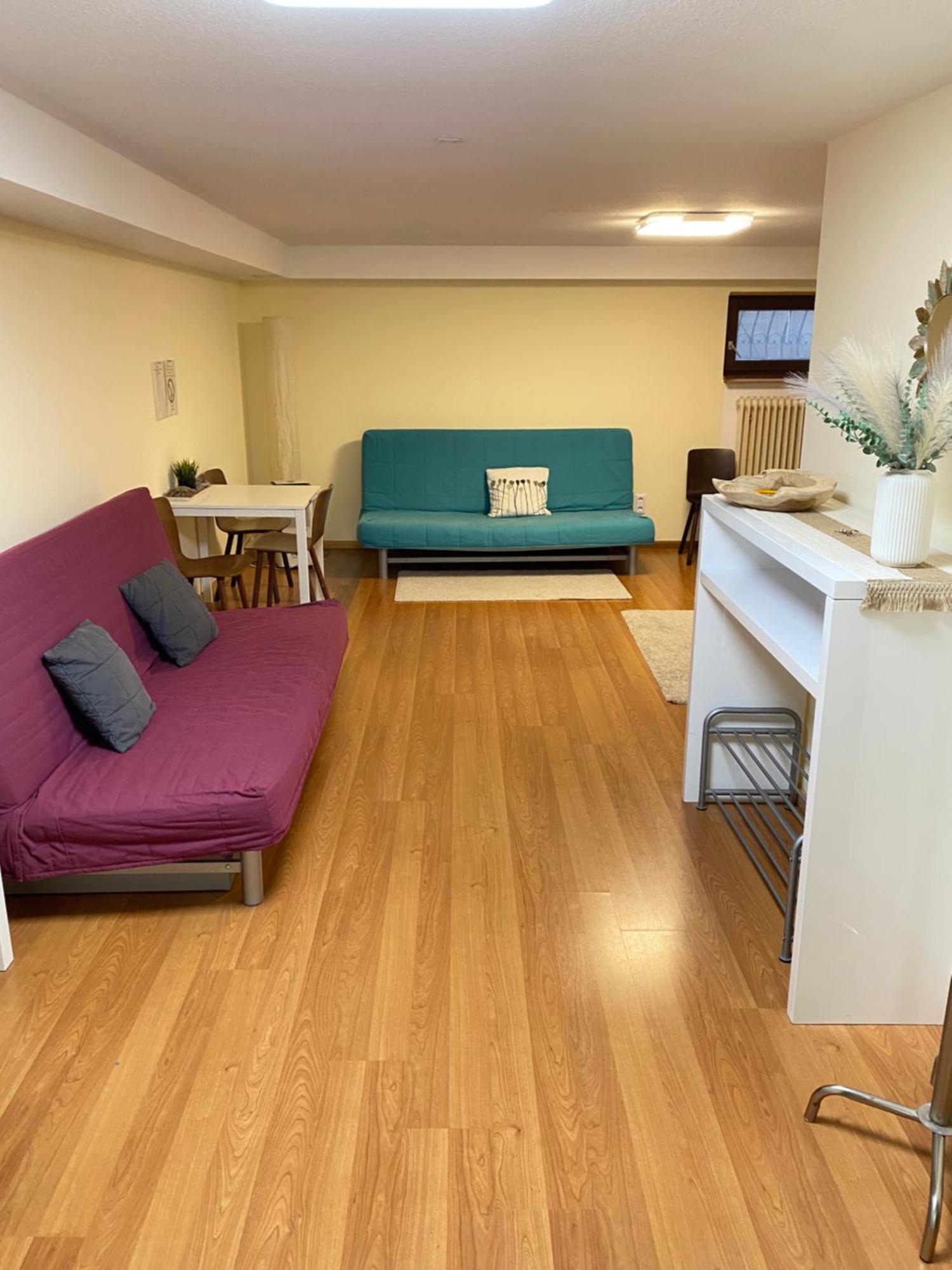Ruhiges Privates Zimmer In Freiburg, Zentrumsnah, Naehe Europapark Bagian luar foto